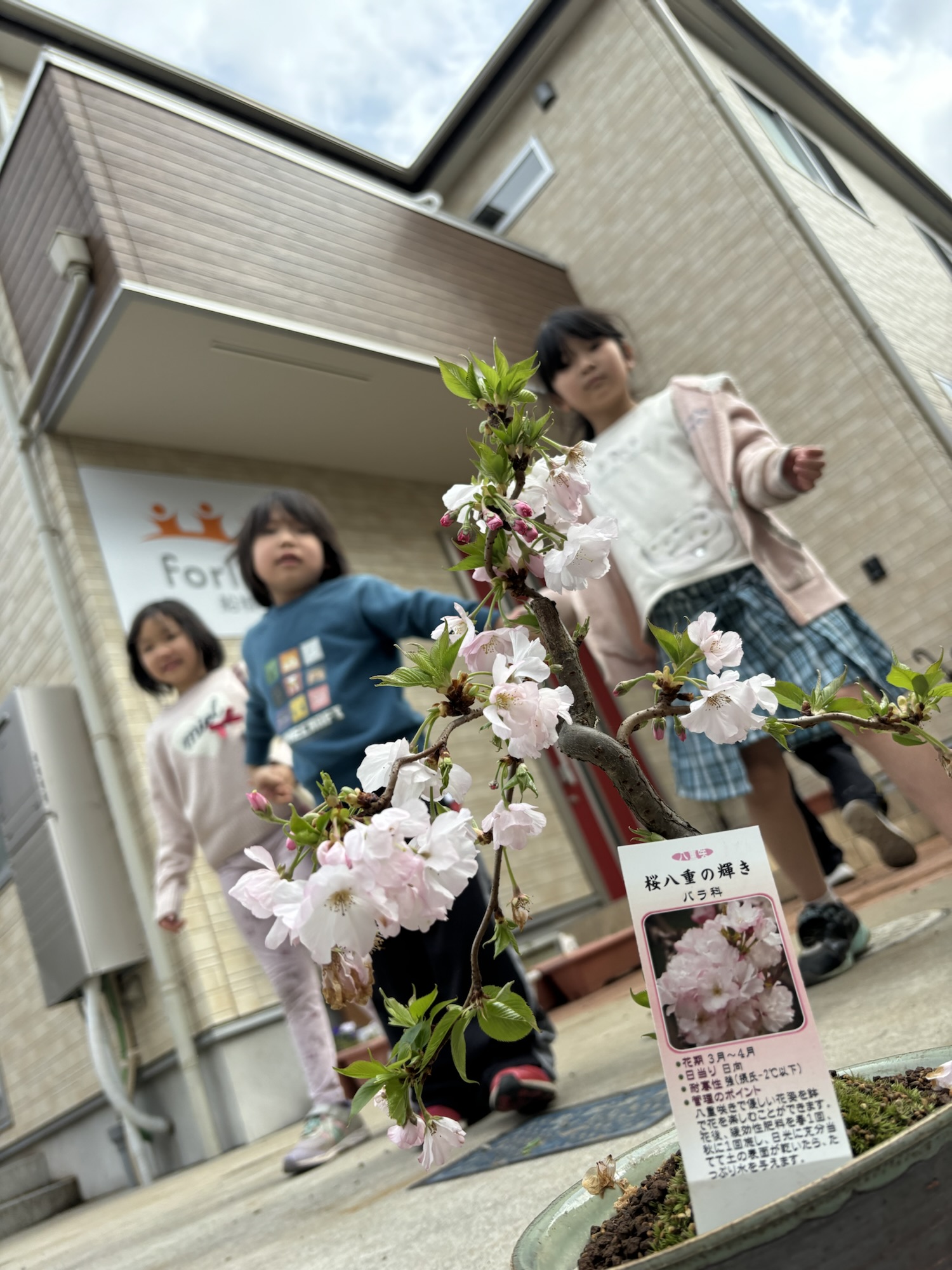 桜の前にいる三人の子どもたち